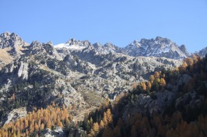IMG_2105