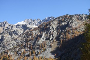 IMG_2110