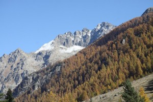 IMG_2114